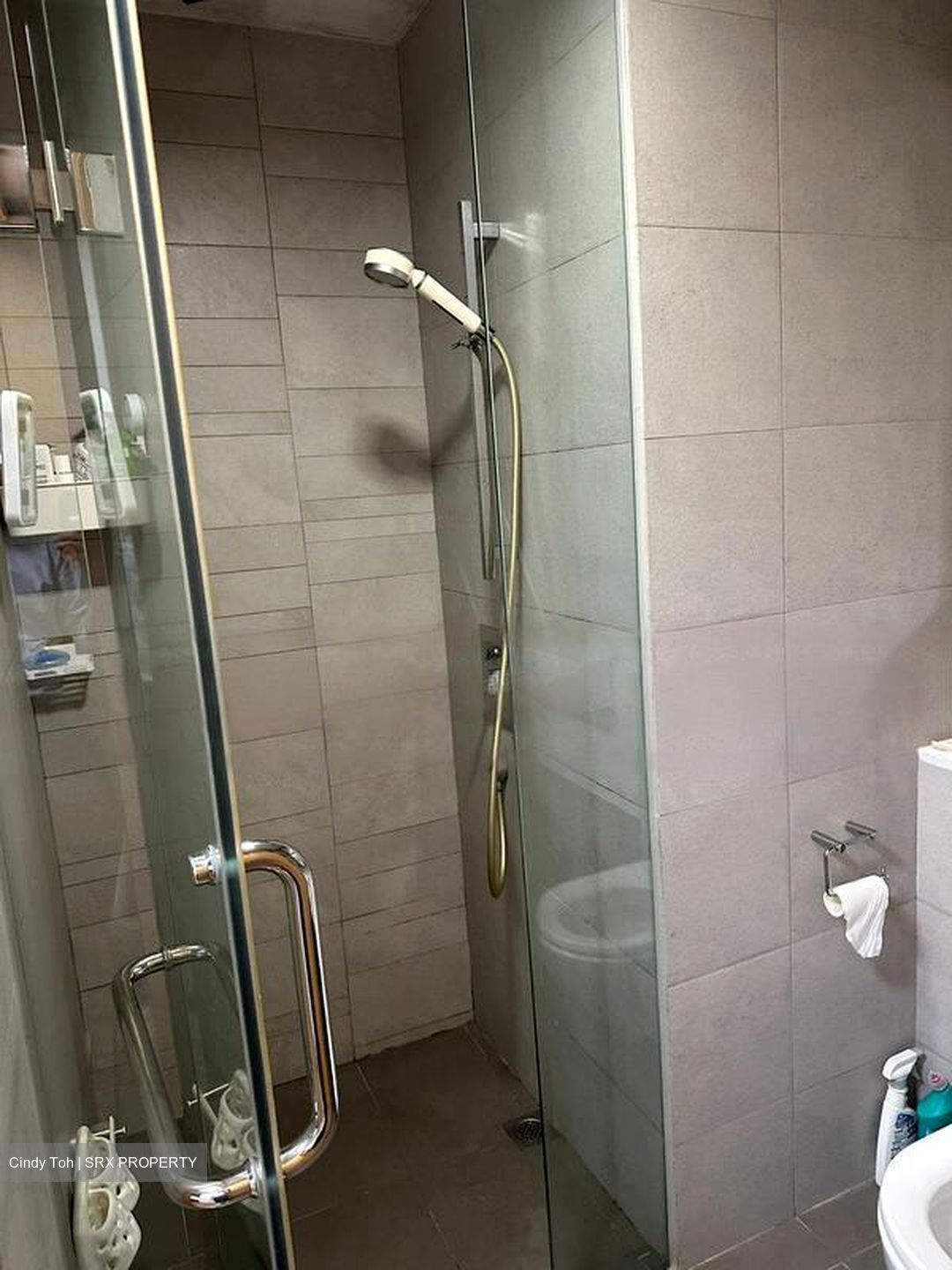 Eight Riversuites (D12), Condominium #443064501